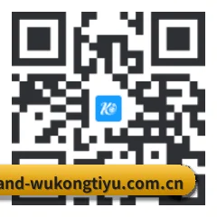 iOS 极速版客户端 二维码